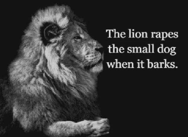 thelion